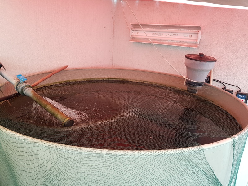 ������ � �������� ��� �������� ������