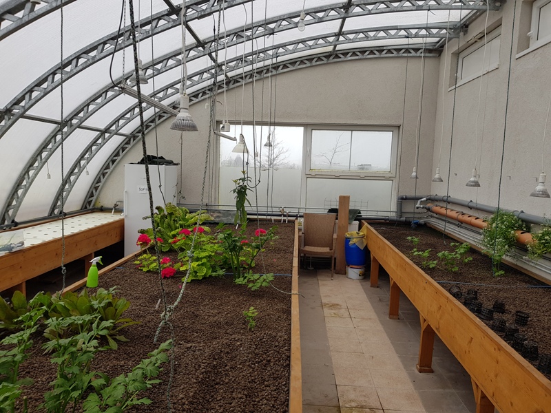 ���������� 2 - ����� ��� ������� � ���� �� ���������