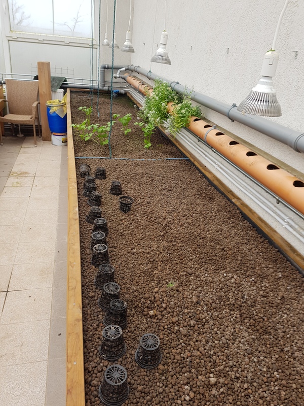 ����� �� ��������� � ��������� � �������������� ����������