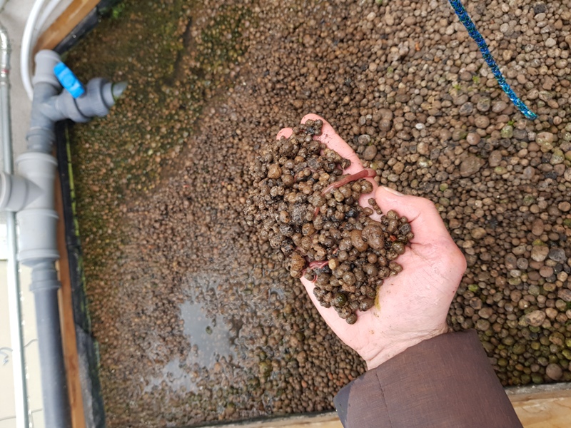 �������� ����� � ��������� ����������