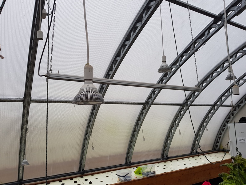 �������� � ���������� ����������� ��� �������� � �������