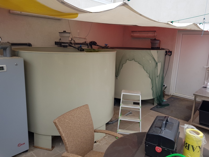 ��� �������� � �������� � �������� �������