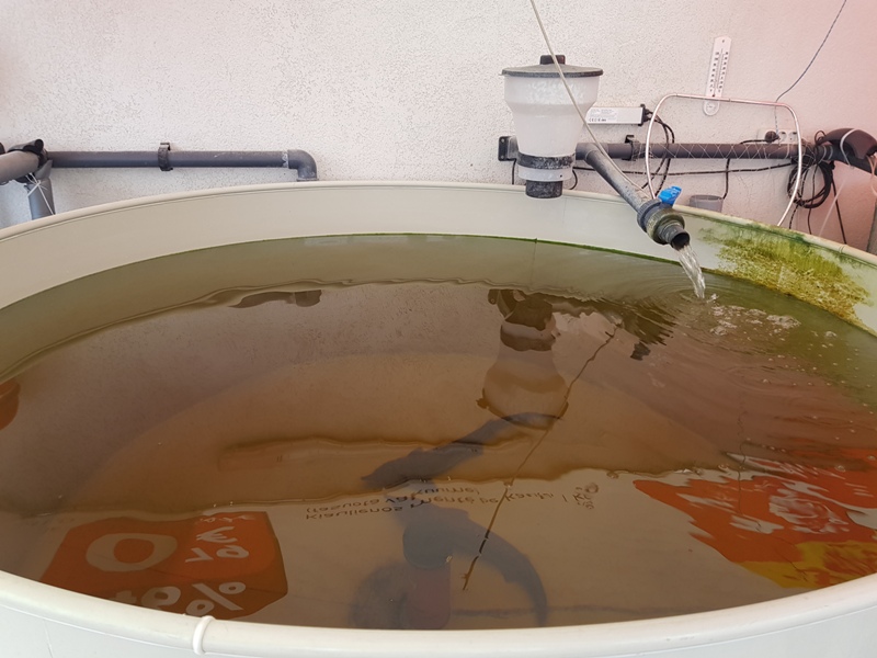 ������ ���� � ������� � ��������